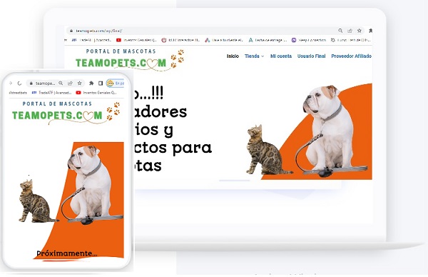 web3